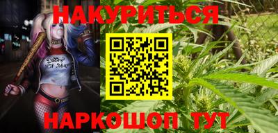 стафф Заводоуковск